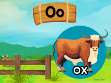 Alphabet Letter Puzzles Oo